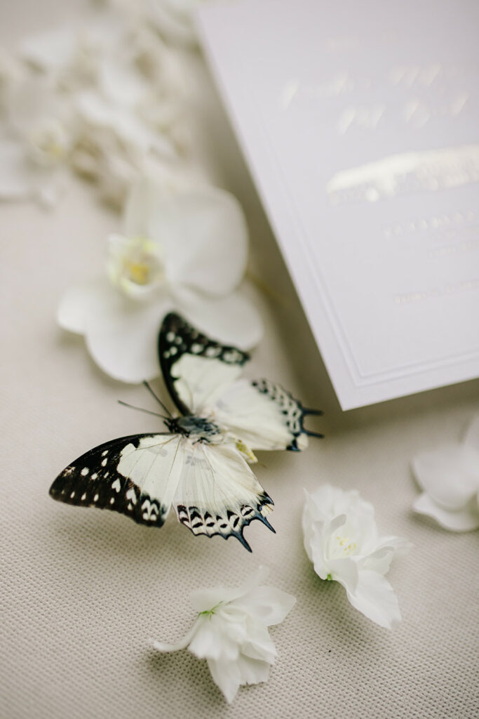 Kristína & Petr – wedding, Sweet & Chic