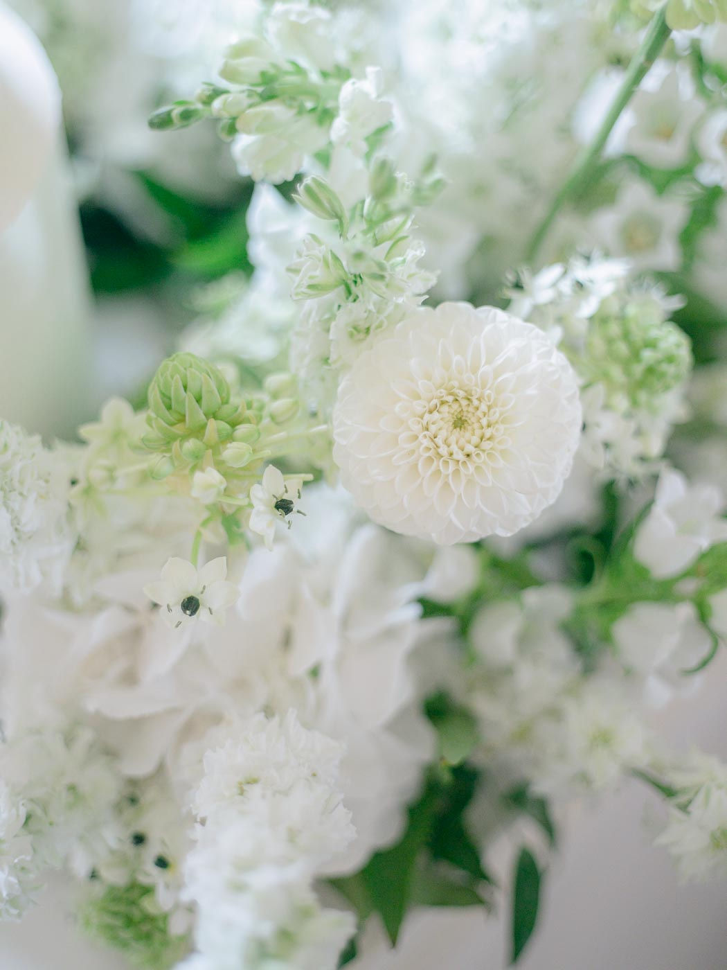 Ema & Jan – wedding, Sweet & Chic